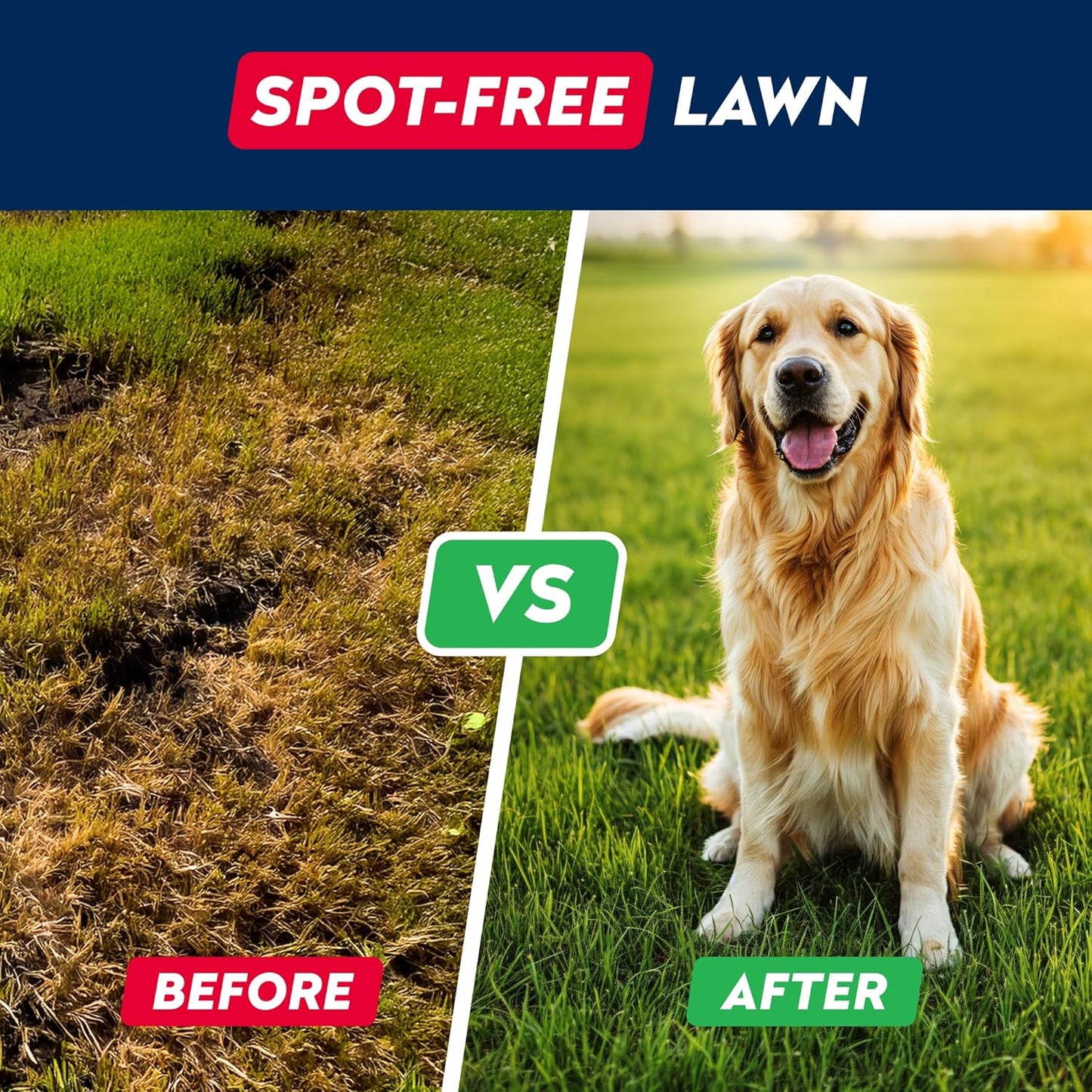 STRELLALAB Green Grass Dog Chews - Dog Pee Grass Helper - Supplement Urine Neutralizer for Grass Burn Spots - Grass Treatment for Pet Urine - Pee Lawn Repair Treats with Probiotics - Made in USA