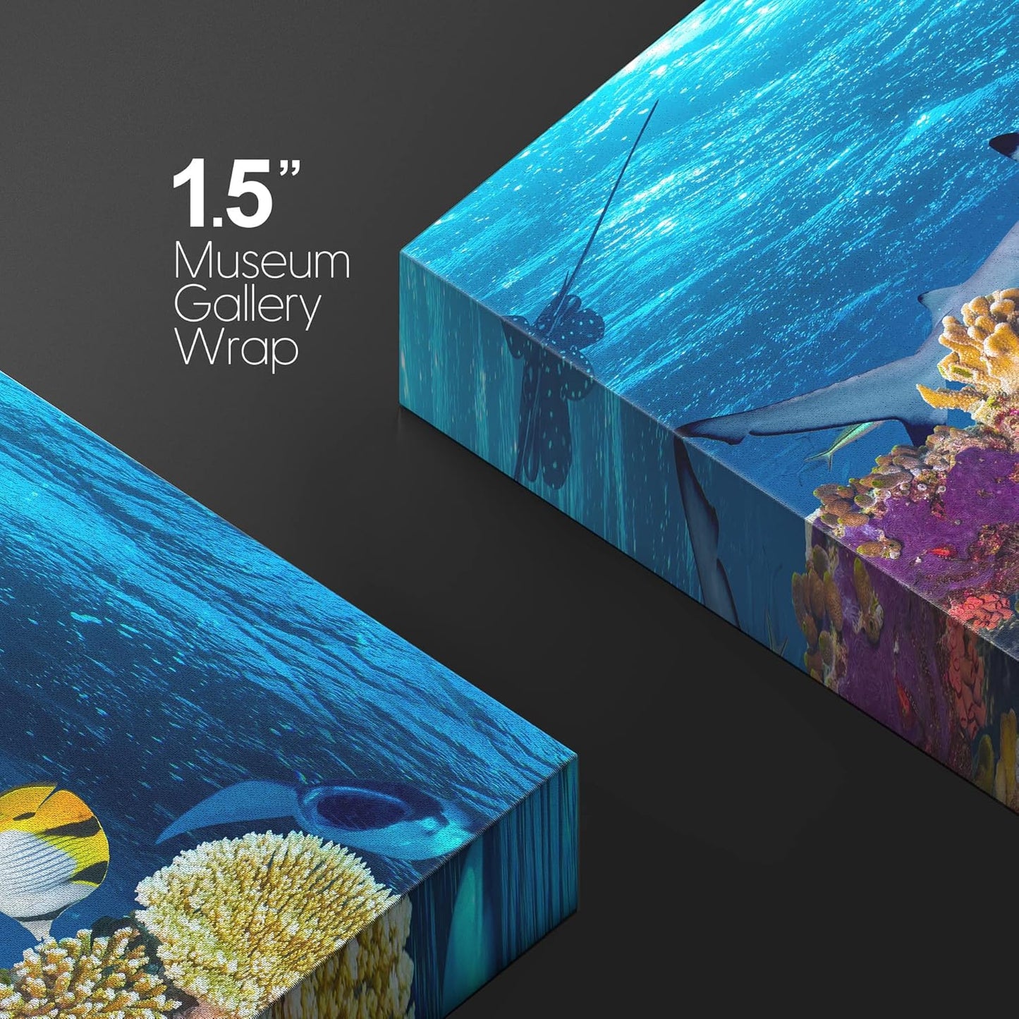 wall26 Canvas Print Wall Art Tropical Island Underwater Turtle Shark Nature Animals Photography Realism Rustic Scenic Landscape Wilderness Earth Colorful for Living Room, Bedroom, Office - 32"x48"