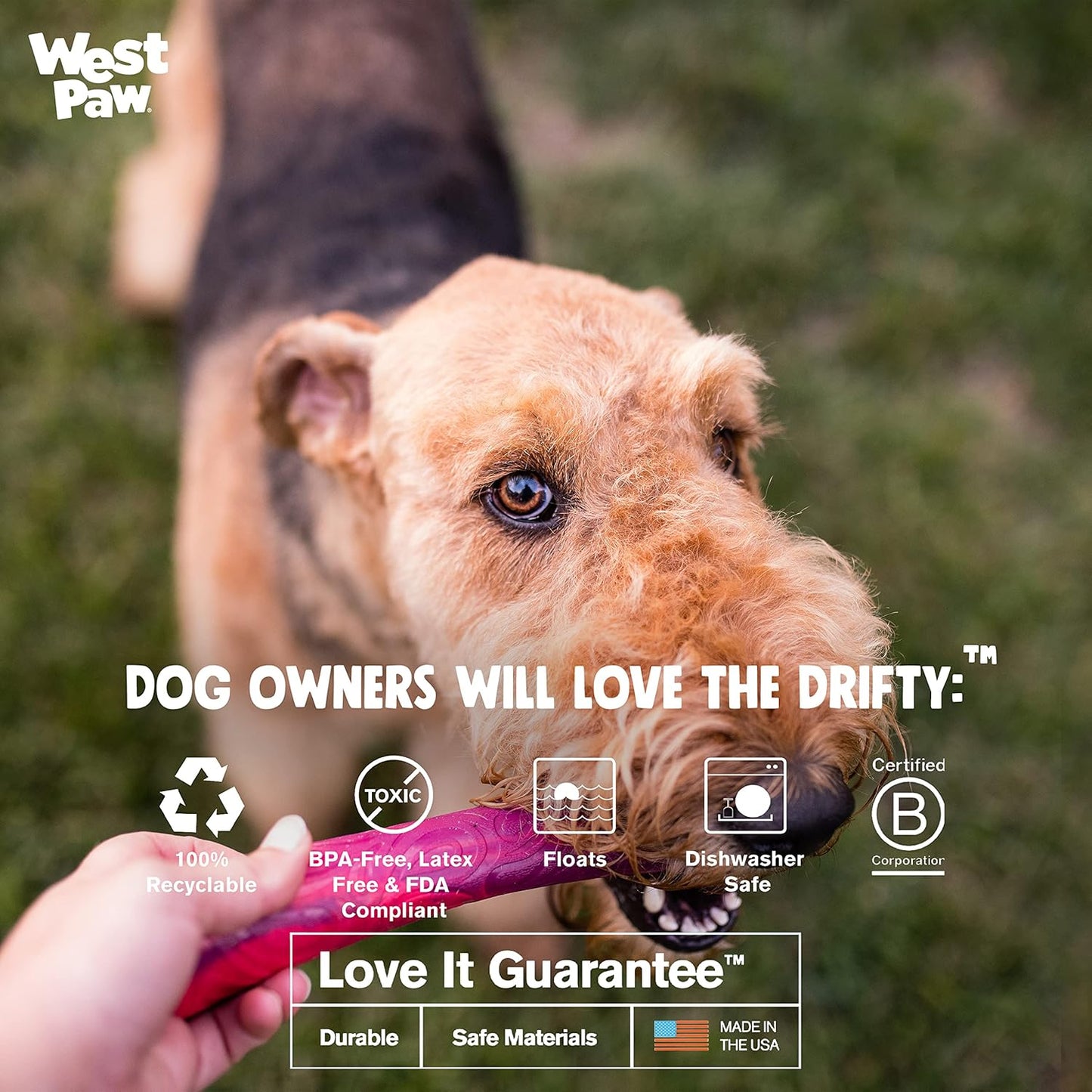 WEST PAW Seaflex Drifty Dog Toy – Machine Washable Dog Toys for Moderate Chewers – Eco-Friendly Zogoflex Toys for Dogs – Perfect for Gnawing, Fetch, Catch, Pet Training – 5.75" Small, Emerald