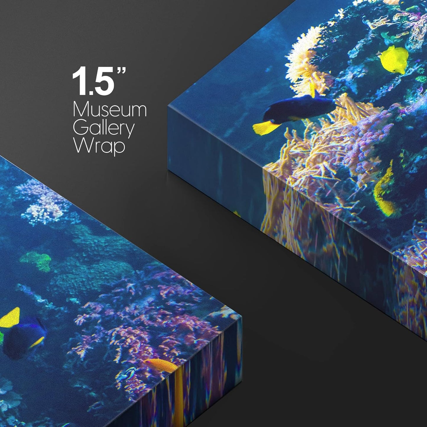 wall26 Canvas Print Wall Art Vibrant Multicolor Coral Reef Fish Ecosystem Nature Animals Photography Realism Rustic Scenic Landscape Wilderness Colorful for Living Room, Bedroom, Office - 24"x36"