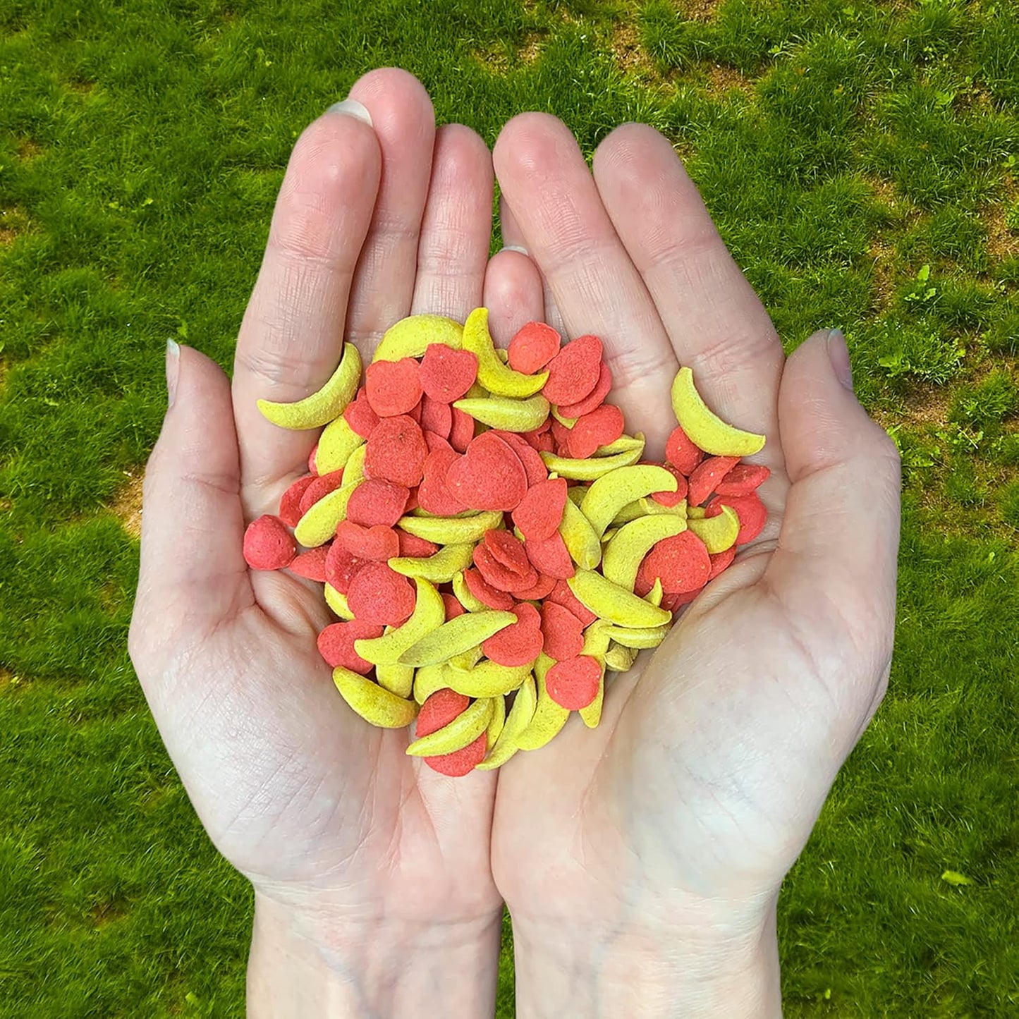 Crunchez Apple and Banana - Crunchy Fruit Flavored Treat Bites - Sugar Gliders, Squirrels, Marmosets, Prairie Dogs, Hamsters, Chinchillas, Exotic Birds, Rabbits, Guinea Pigs, Degus, Small Pets