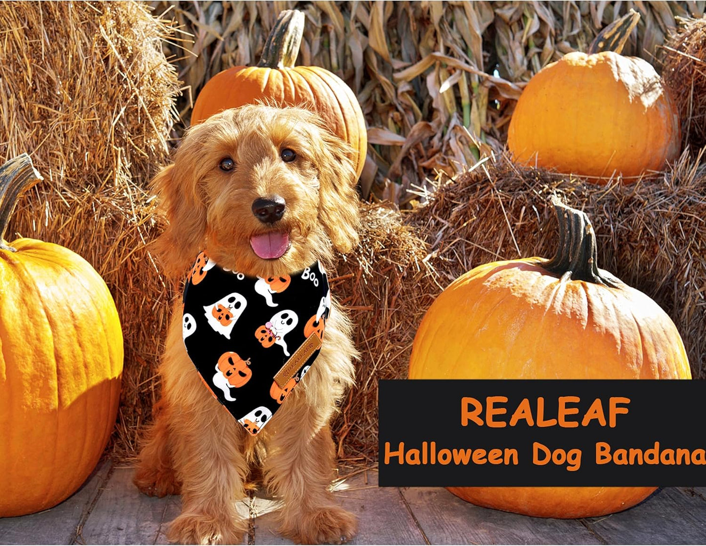 Realeaf Halloween Dog Bandanas 2 Pack, Reversible Orange Pumpkin Pet Scarf for Boy and Girl, Premium Durable Fabric, Holiday Bandana for Small Medium Large and Extra Large Dogs (Large)