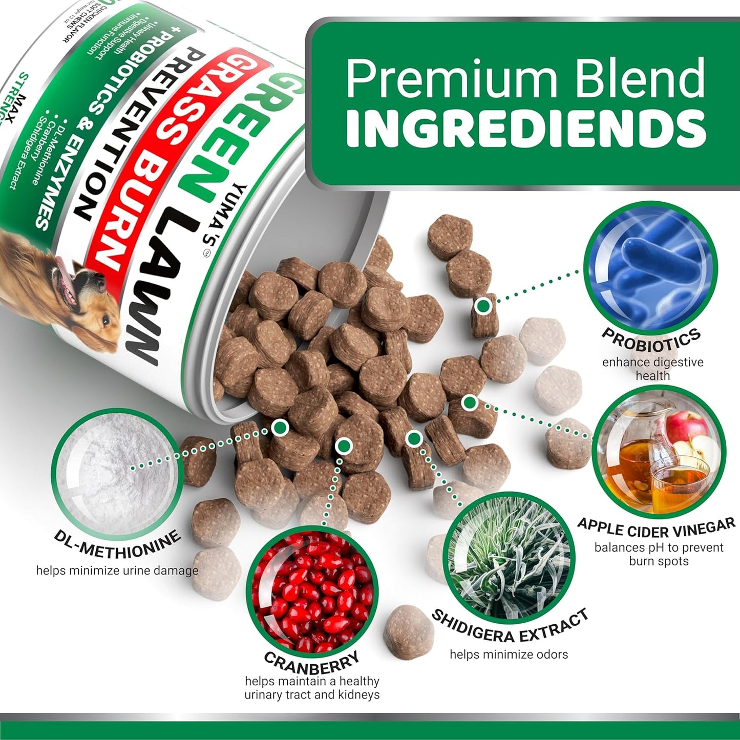 YUMA'S Dog Urine Neutralizer for Lawn - 170 Chews - Advanced Grass Green Savers for Dog Urine - Canine Pee Grass Neutralizer Supplement - Green Lawn Treats with Probiotics and Digestive Enzymes