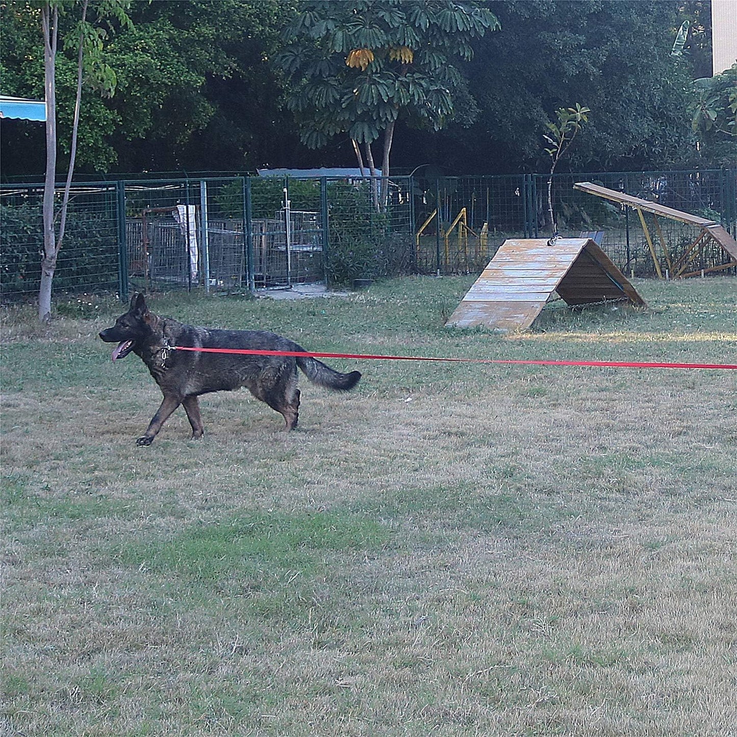 Dog/Puppy Obedience Recall Training Agility Lead - 15ft 20ft 30ft 40ft 50ft Training Leash - Great for Play, Camping, or Backyard (Brown, 40 Feet)