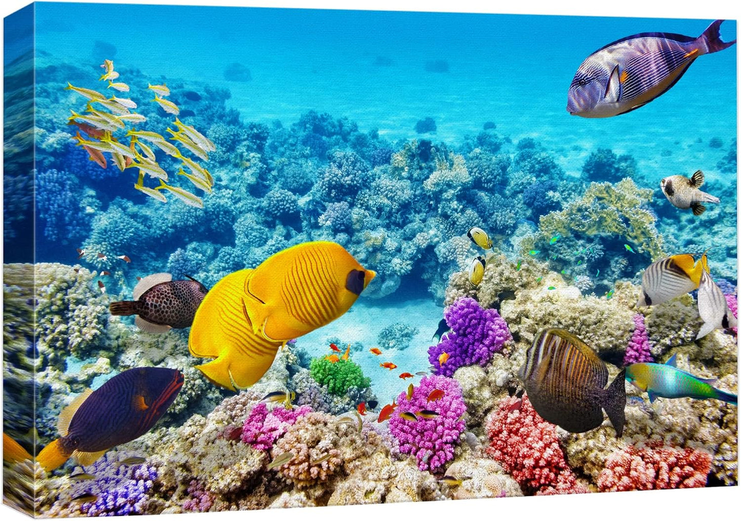 wall26 Canvas Print Wall Art Tropical Underwater Ocean Sea Fish Reef Nature Animals Photography Realism Rustic Scenic Landscape Wilderness Earth Colorful for Living Room, Bedroom, Office - 12"x18"