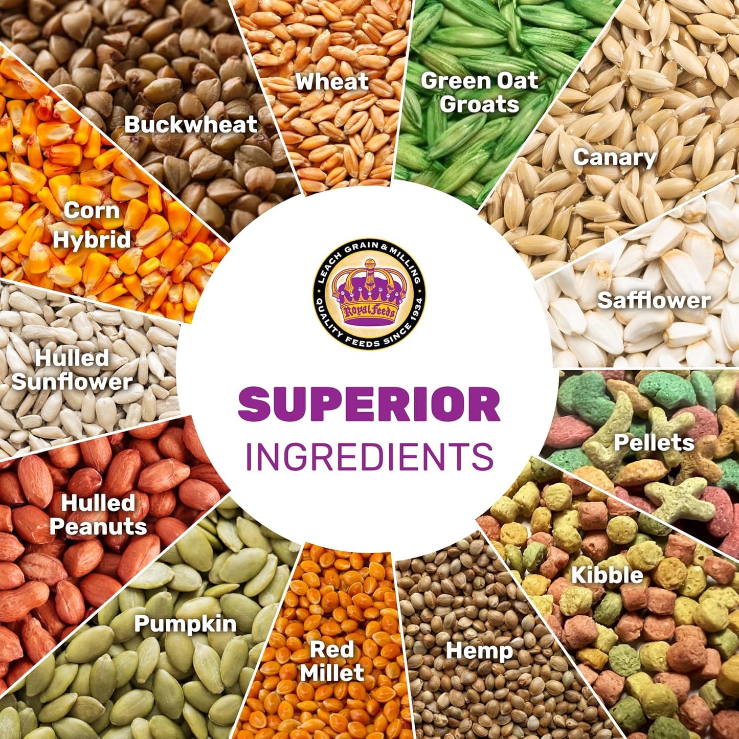 Large Hookbill Plus 5 Lbs, Bird Food for Large Hookbill, Premium Bird Seeds, Supports Growth Energy and Digestive Health, Nutrient-Rich Parrot Birdseeds for Complete & Healthy Balanced Diet