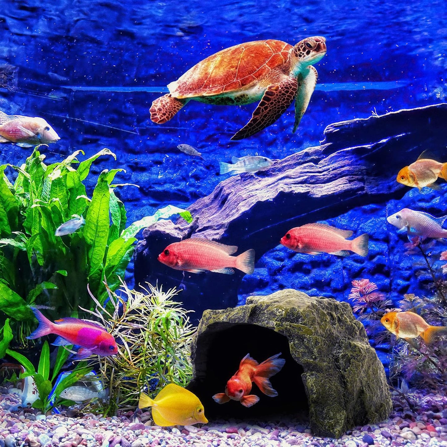 Reptile Rock Hide Cave - World 9.99 Mall Reptile Rock Hide Habitat Decoration|Natural,Non-Toxic, Made of Resin | Hideout for Small Lizards, Turtles, Reptiles, Amphibians,Fish