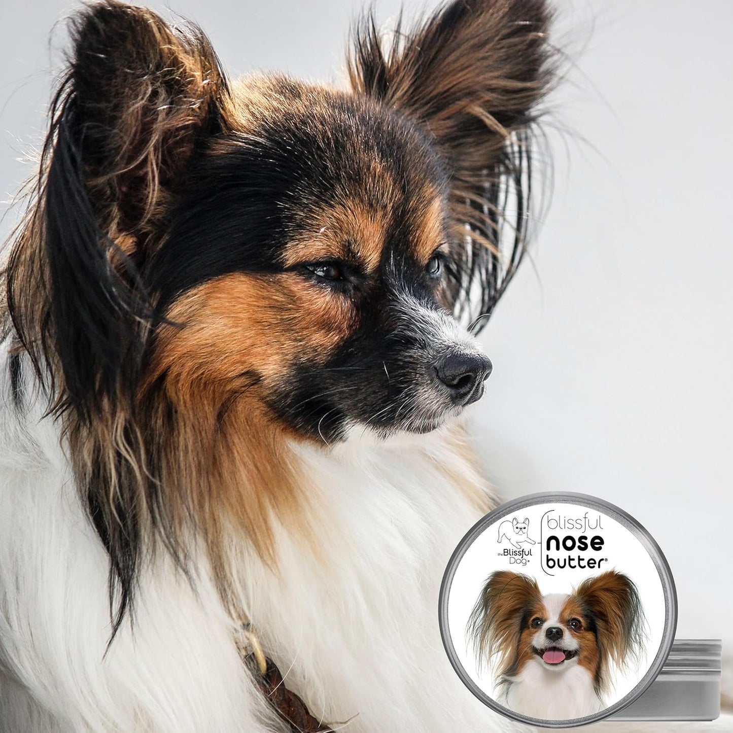 The Blissful Dog Papillon Unscented Nose Butter - Dog Nose Butter, 2 Ounce