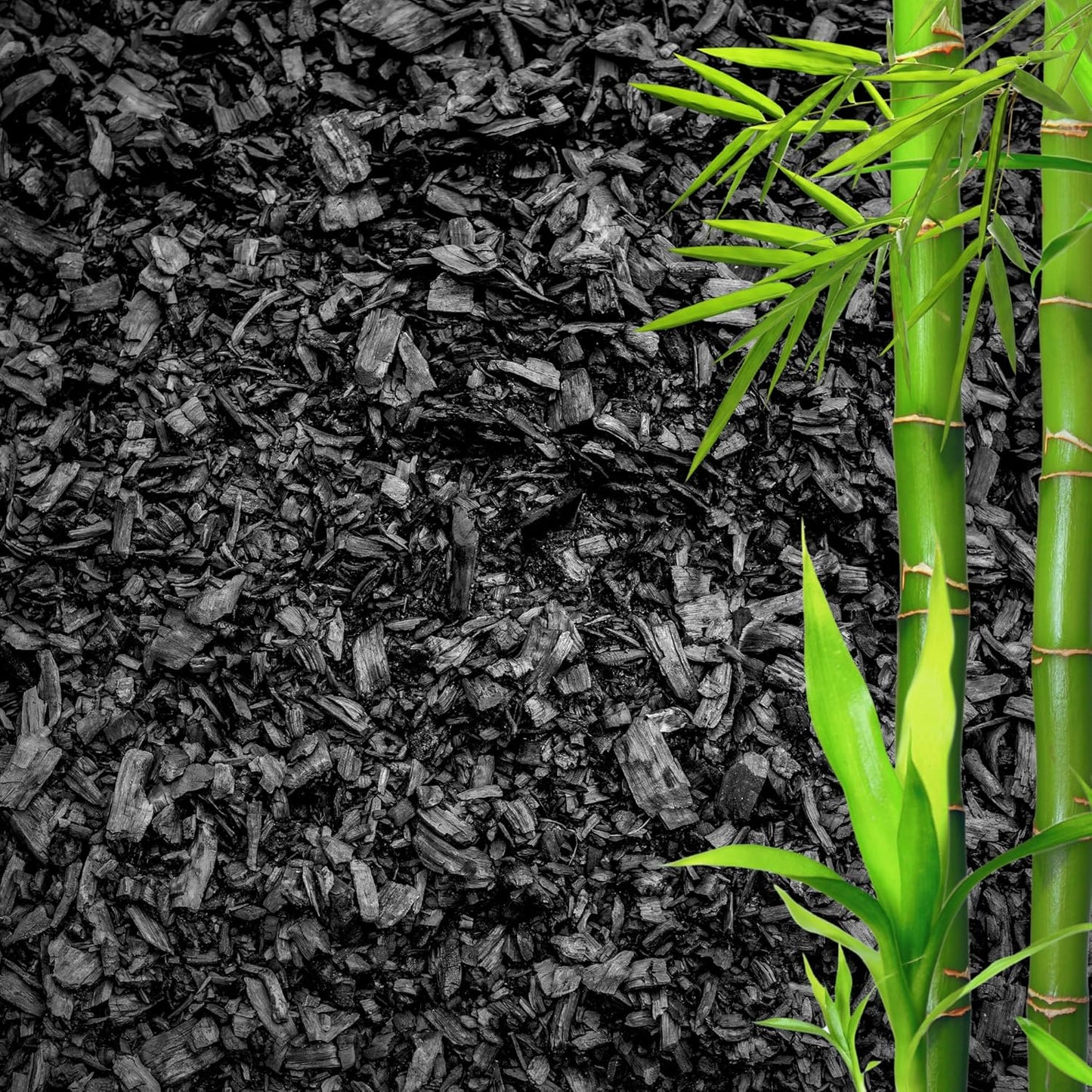 Horticultural Charcoal for Plants – Organic Bio Char Soil Amendment for Terrariums, Indoor Plants & Gardening, Made in USA (15 quarts)