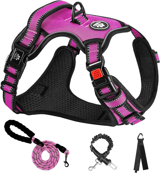 NESTROAD No Pull Dog Harness,Adjustable Oxford Dog Vest Harness with Leash,Reflective No-Choke Pet Harness with Easy Control Soft Handle for Large Dogs(Large,Fuchsia Pink)