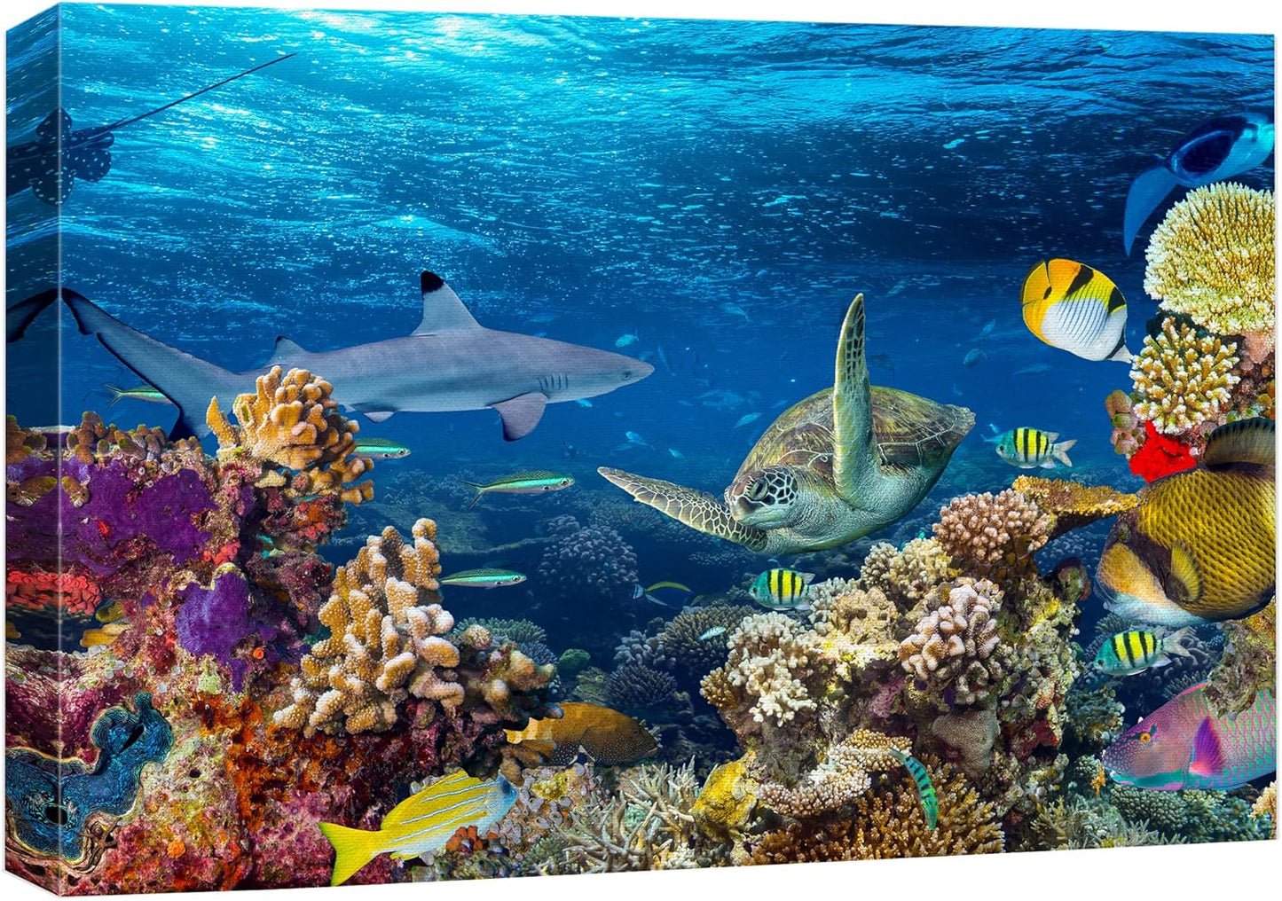 wall26 Canvas Print Wall Art Tropical Island Underwater Turtle Shark Nature Animals Photography Realism Rustic Scenic Landscape Wilderness Earth Colorful for Living Room, Bedroom, Office - 32"x48"