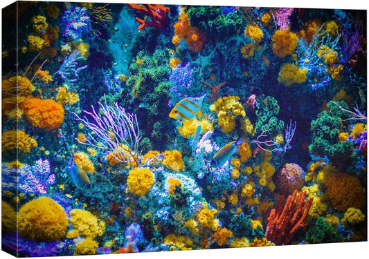 wall26 Canvas Print Wall Art Vibrant Neon Multicolor Anemone Coral Reef Nature Animals Photography Realism Rustic Scenic Landscape Wilderness Earth for Living Room, Bedroom, Office - 24"x36"
