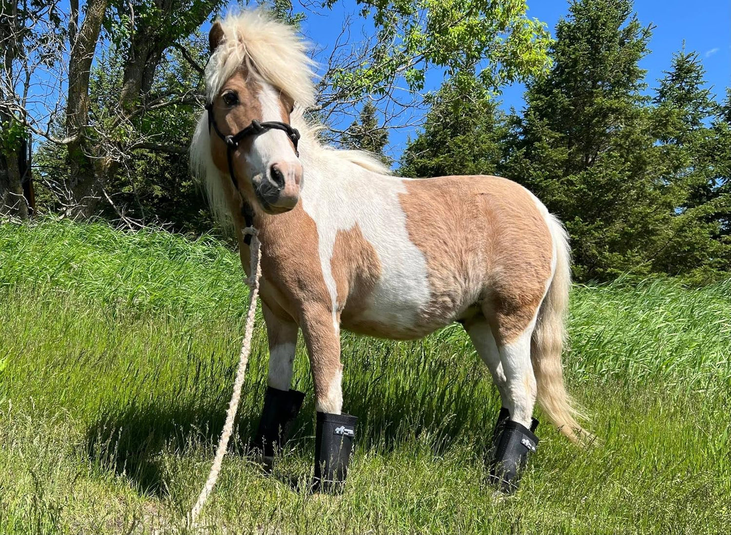 Warrior Fly Boots for Horses - Breathable Mesh Horse Boots for Fly Protection & Leg Comfort - Set of 4 (The Warrior, Neon Orange)