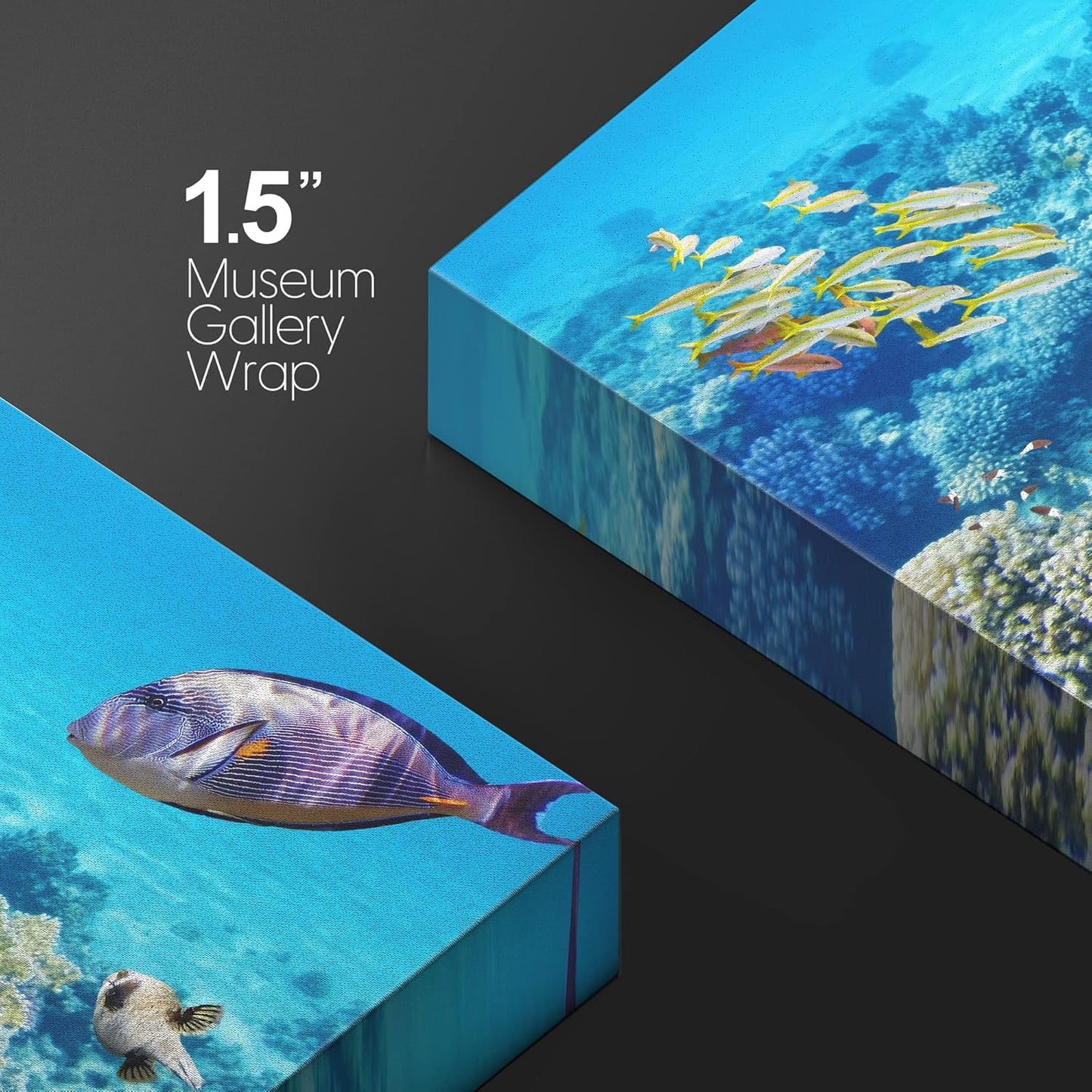 wall26 Canvas Print Wall Art Tropical Underwater Ocean Sea Fish Reef Nature Animals Photography Realism Rustic Scenic Landscape Wilderness Earth Colorful for Living Room, Bedroom, Office - 12"x18"