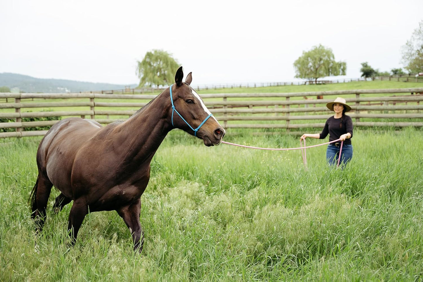 22' Long Line with SS O Ring and Carabiner (Blue)