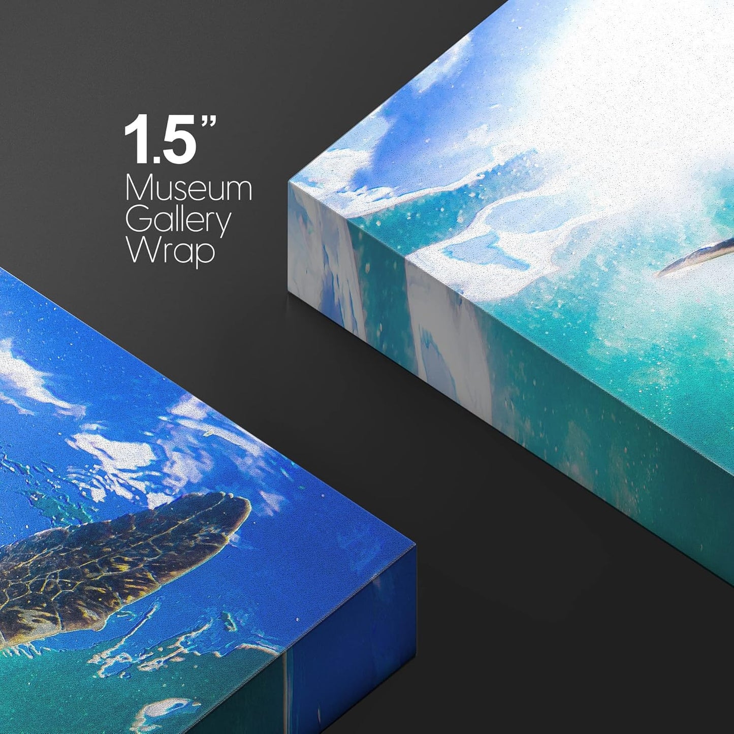 wall26 Canvas Print Wall Art Sunlight Tropical Ocean Underwater Turtle Nature Animals Photography Realism Rustic Scenic Landscape Wilderness Earth Colorful for Living Room, Bedroom, Office - 32"x48"