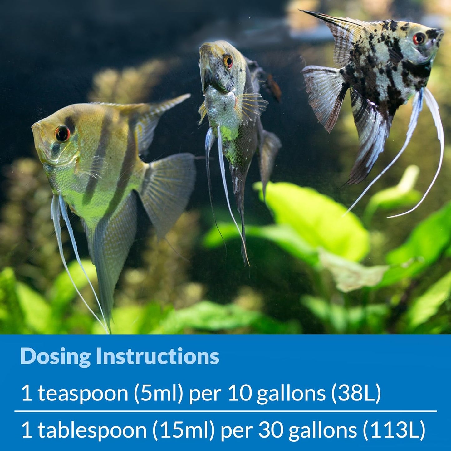 API STRESS ZYME Freshwater and Saltwater Aquarium Cleaning Solution 1-Ounce Bottle