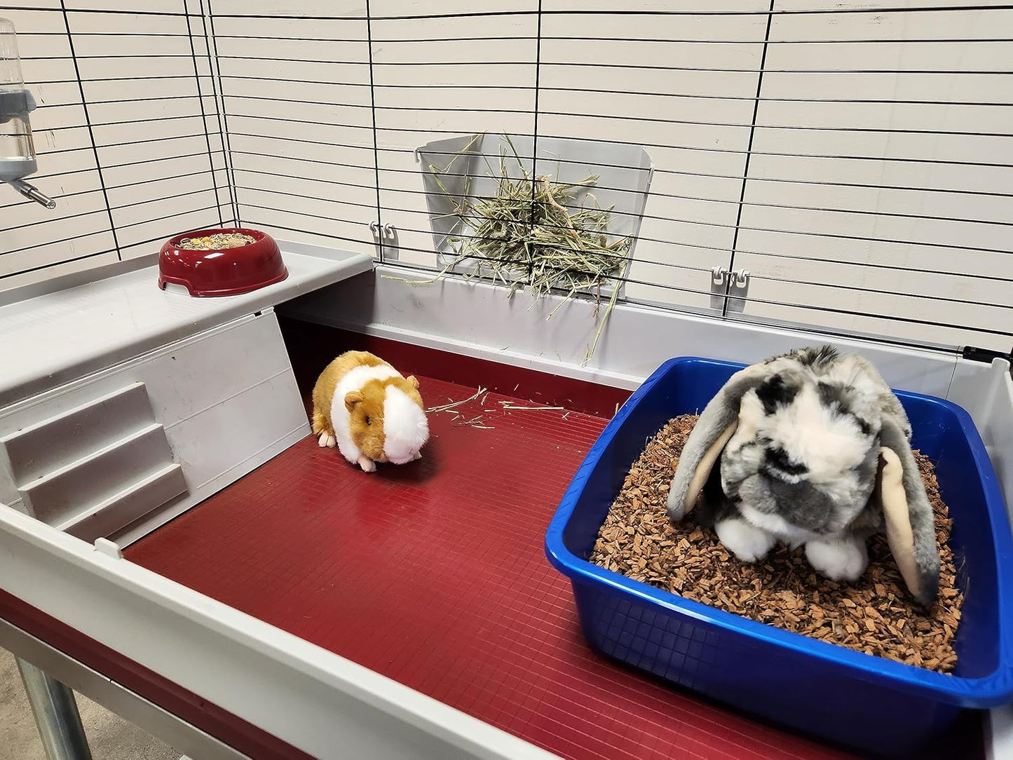 Small Animal Bedding – 20 Liter – Natural Coco Chip Substrate with Activated Charcoal Odor Control – for Chicken Coop, Rabbit Cage, Hamster Habitat, Reptile Terrarium & Snake Tank