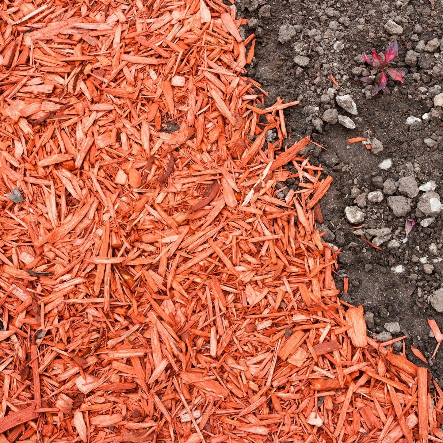 Premium Red Wood Mulch for Indoor, Patio, Potting Media, Gardens, Lawns, and Landscaping (0.2 CF - 4.8 L - 5 QTS)